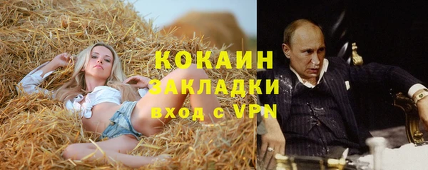 mix Няндома