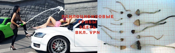 первитин Белоозёрский