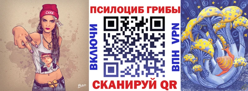 Псилоцибиновые грибы Cubensis  ОМГ ОМГ как зайти  Горячеводский 