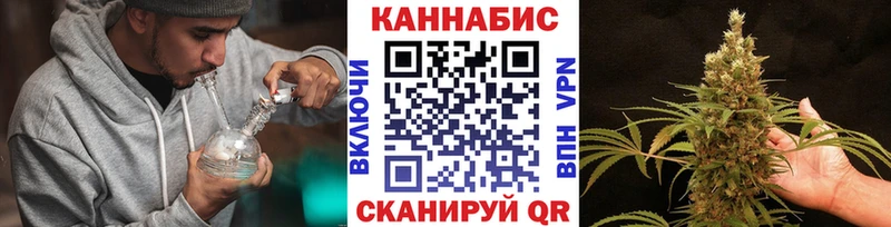 Бошки марихуана сатива  Горячеводский 